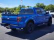  2011 Ford F-150 FX4 for sale in Paris, Texas