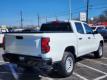  2024 Chevrolet Colorado Work Truck for sale in Paris, Texas