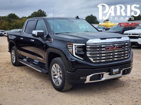  New 2025 GMC Sierra 1500 Denali Stock#250172 Onyx Black 4WD New 